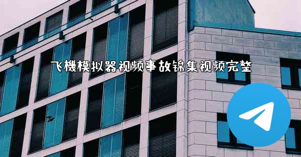 飞機模拟器视频事故锦集视频完整