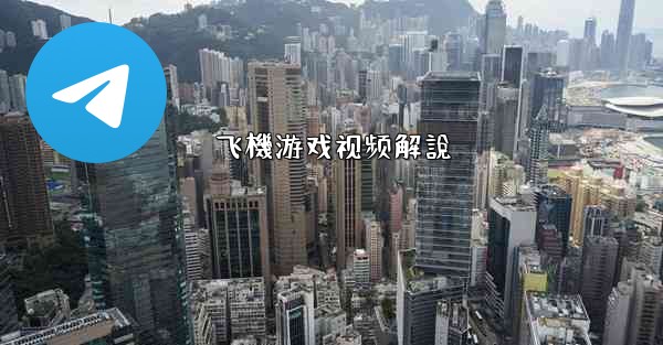 飞機游戏视频解說