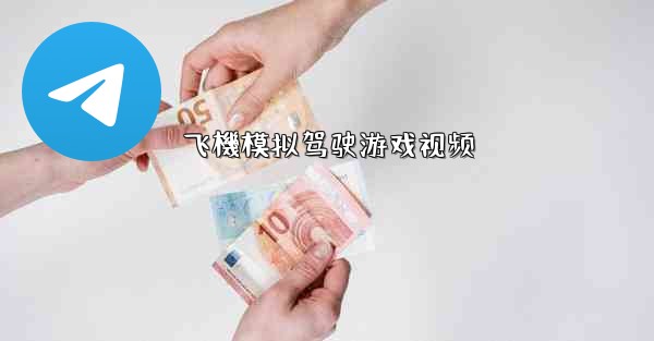 飞機模拟驾驶游戏视频