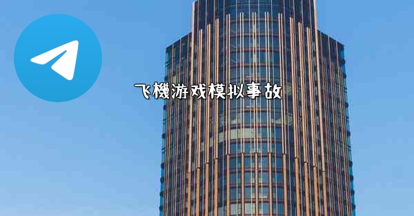 飞機游戏模拟事故