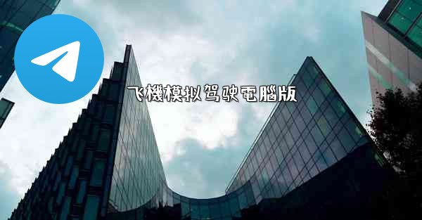 飞機模拟驾驶電腦版