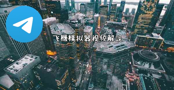 飞機模拟器视频解說