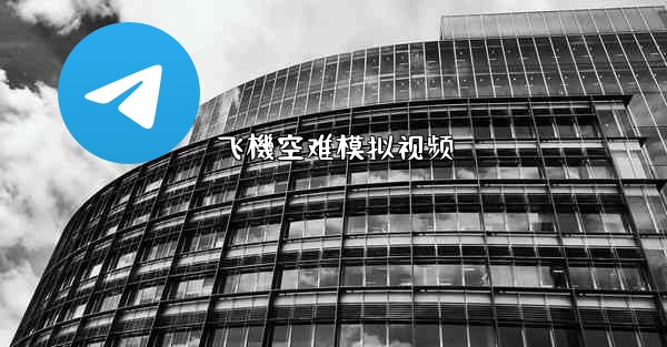 飞機空难模拟视频