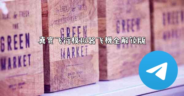 真實飞行模拟器飞機全解锁版