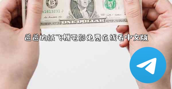 爸爸的纸飞機電影免费在线看中文版