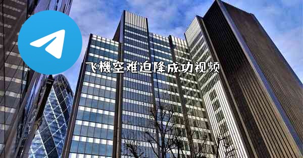 飞機空难迫降成功视频