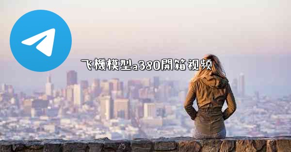 飞機模型a380開箱视频