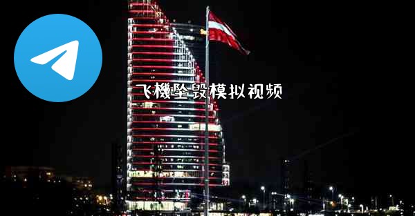 飞機坠毁模拟视频