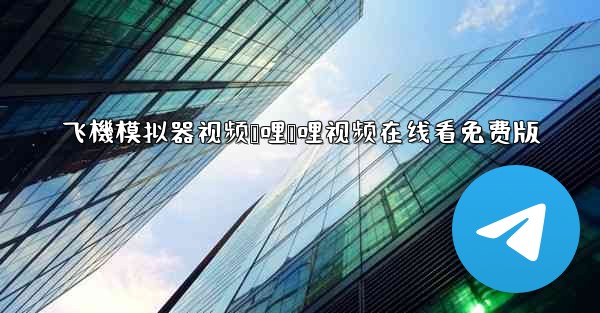 飞機模拟器视频哔哩哔哩视频在线看免费版