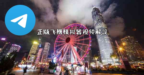 正版飞機模拟器视频解說