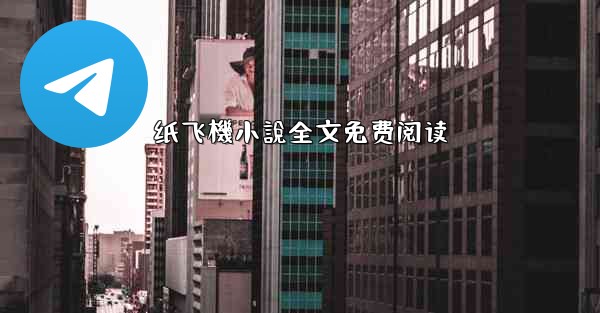 纸飞機小說全文免费阅读