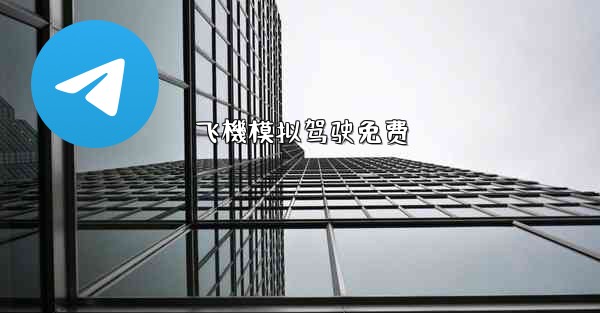 飞機模拟驾驶免费