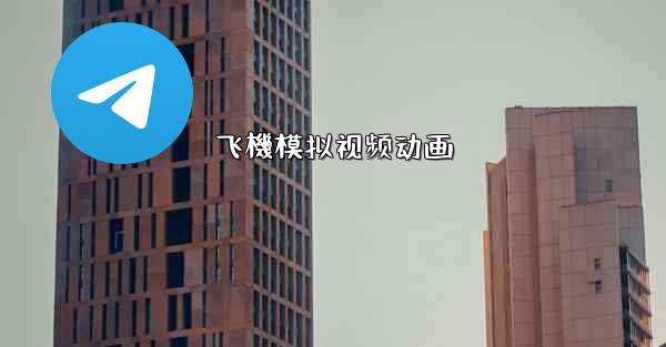 飞機模拟视频动画