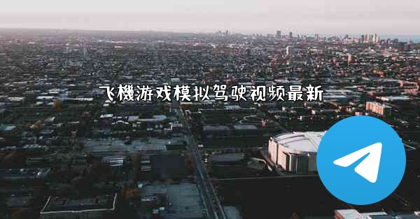 飞機游戏模拟驾驶视频最新