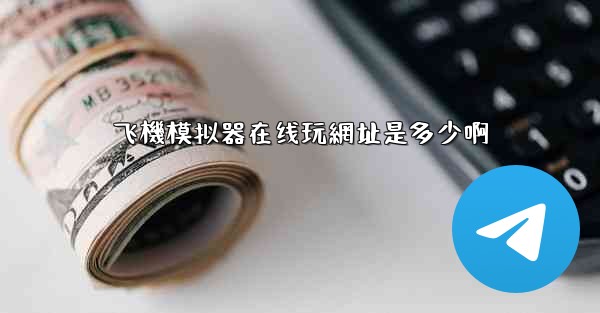 飞機模拟器在线玩網址是多少啊