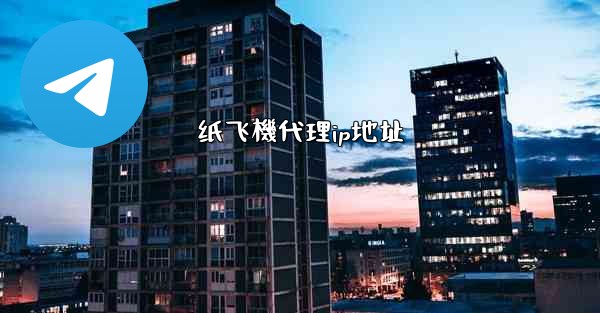 纸飞機代理ip地址