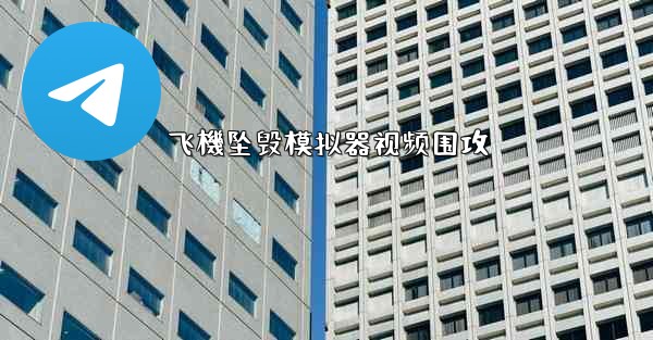 飞機坠毁模拟器视频围攻