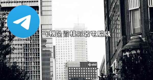 飞機坠毁模拟器電腦版