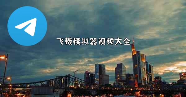 飞機模拟器视频大全