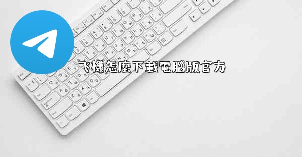 飞機怎麼下載電腦版官方