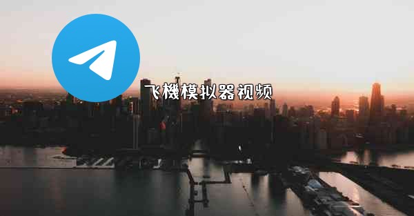 飞機模拟器视频