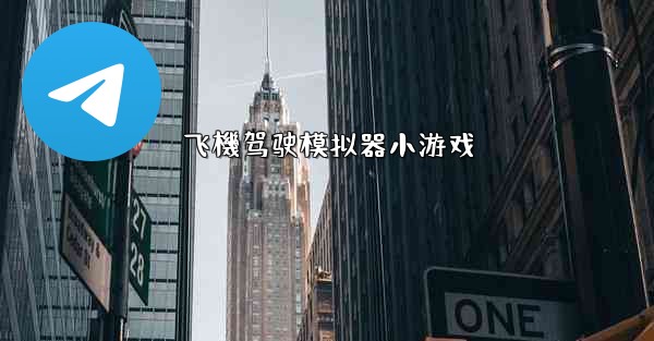 飞機驾驶模拟器小游戏