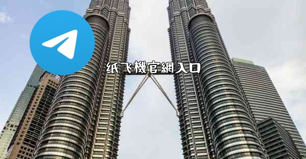 纸飞機官網入口