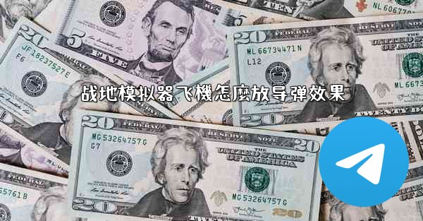 战地模拟器飞機怎麼放导弹效果