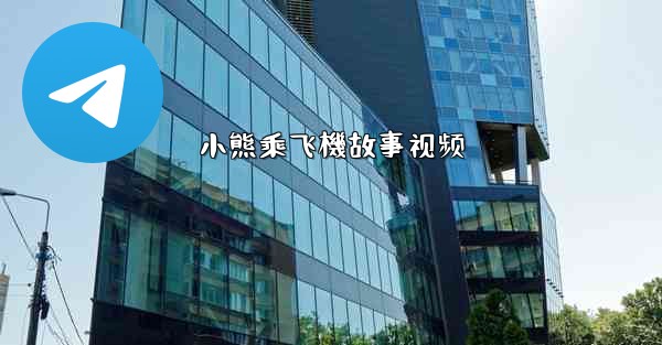 小熊乘飞機故事视频