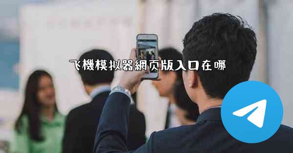 飞機模拟器網页版入口在哪