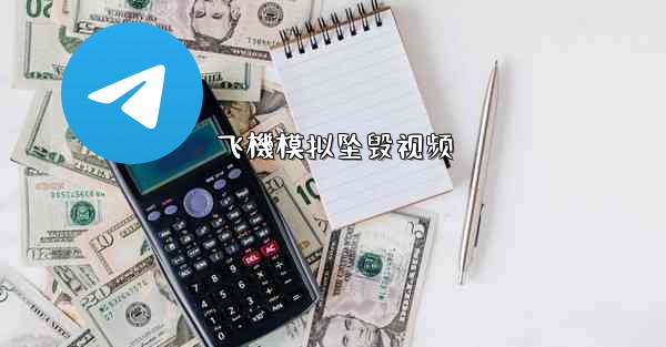 飞機模拟坠毁视频