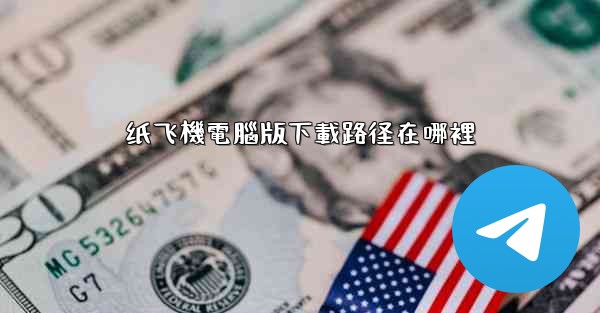 纸飞機電腦版下載路径在哪裡