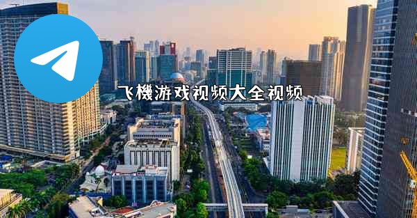 飞機游戏视频大全视频