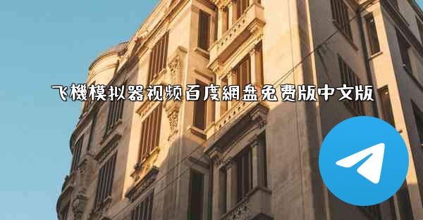 飞機模拟器视频百度網盘免费版中文版