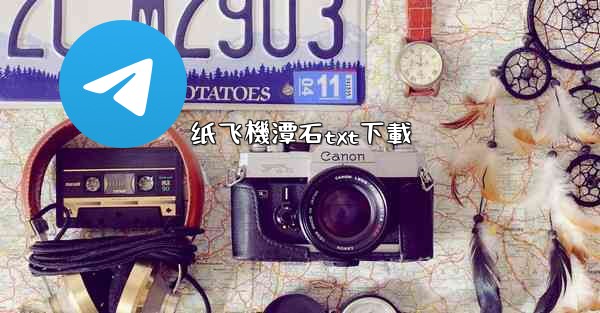 纸飞機潭石txt下載