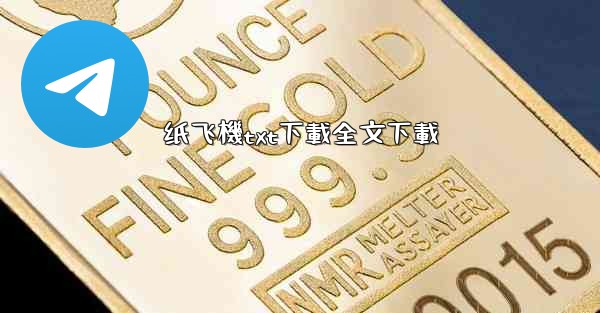 纸飞機txt下載全文下載