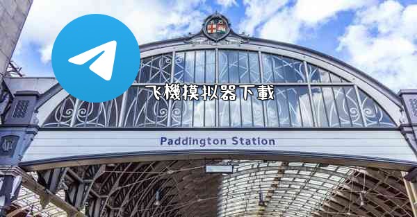 飞機摸拟器下載