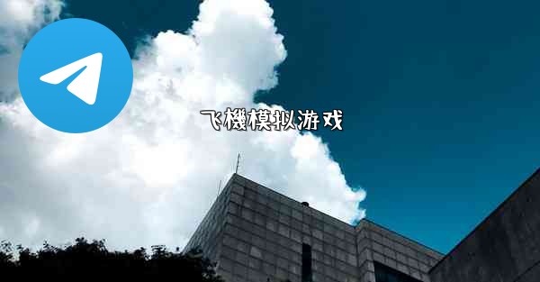 飞機模拟游戏