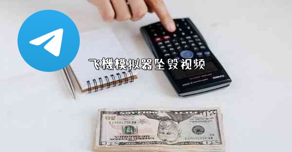 飞機模拟器坠毁视频