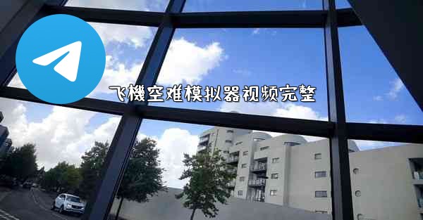 飞機空难模拟器视频完整