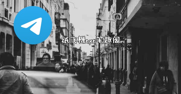 纸飞機txt笔趣阁