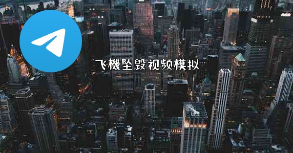 飞機坠毁视频模拟