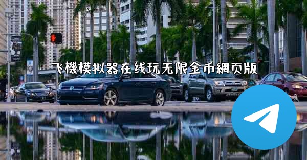 飞機模拟器在线玩无限金币網页版