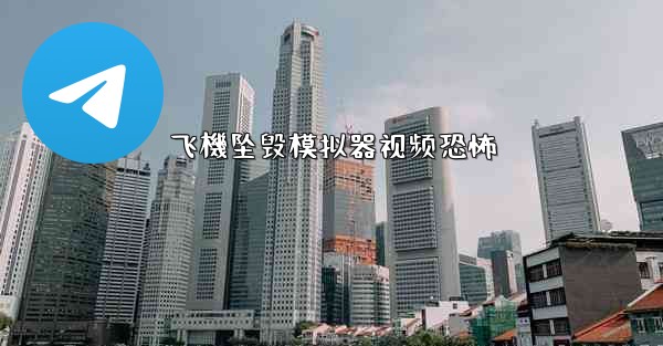 飞機坠毁模拟器视频恐怖