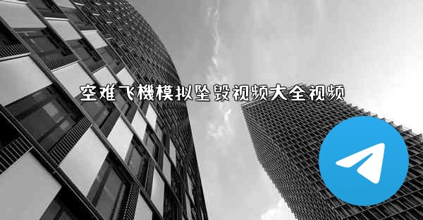 空难飞機模拟坠毁视频大全视频