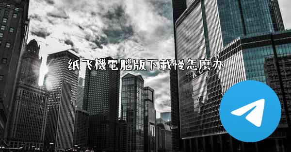 纸飞機電腦版下載慢怎麼办