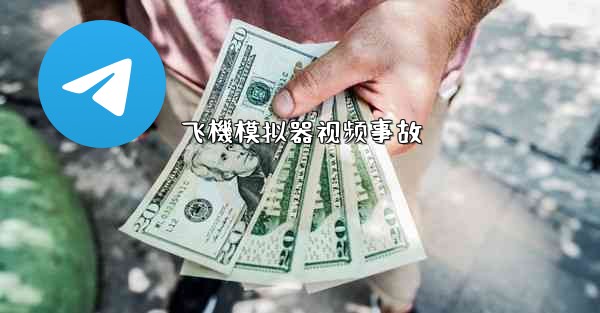 飞機模拟器视频事故