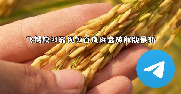 飞機模拟器视频百度網盘破解版最新