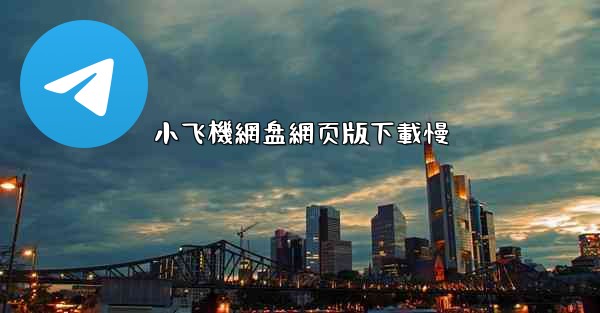 小飞機網盘網页版下載慢