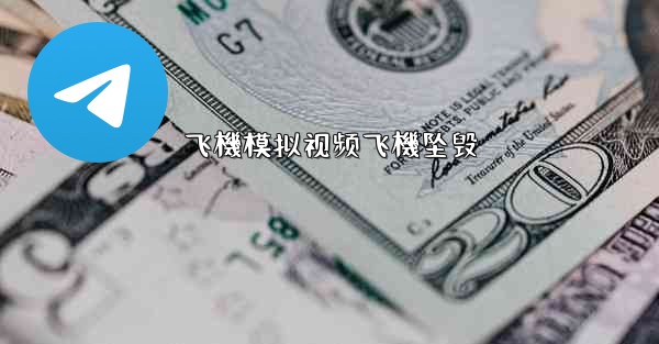 飞機模拟视频飞機坠毁
